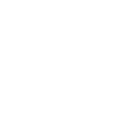 煎茶道 黄檗弘風流